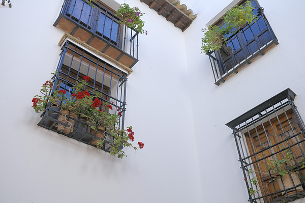 Windows with potted plants  Mondragons Palace Ronda Málaga Andalusia Spain Digital Download