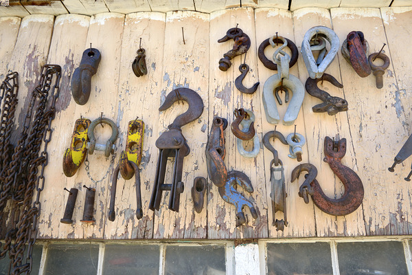 KO B40784 Digital Download