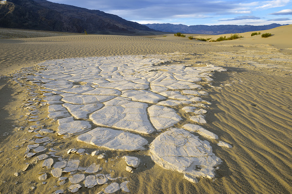 Dried mud exposed on the rippled sand - Mesquite Flat Sand Dunes Digital Download