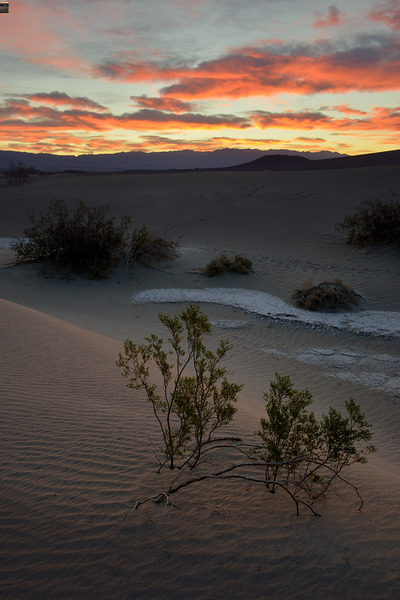 Mesquite Flat Sand Dunes Digital Download