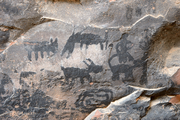 Black petroglyphs of animals Palatki Ruins Arizona USA Digital Download