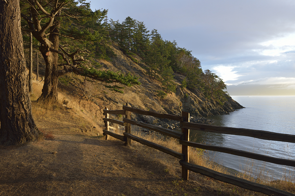 Wood fencing along the cliffs at East Cove Digital Download