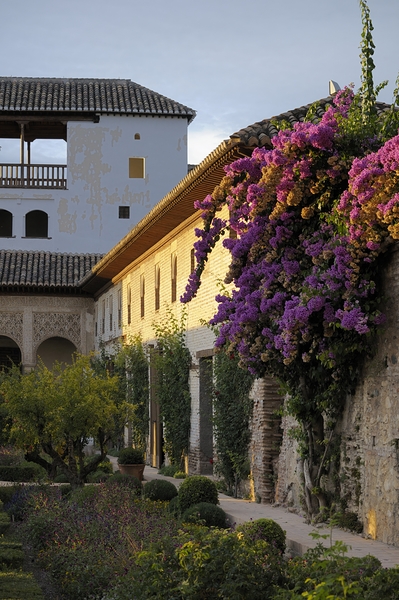 Patio de la Acequia   Generalife The Alhambra Granada Andalusia Spain Digital Download