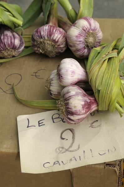 Fresh red garlic at the Lourmarin market Digital Download