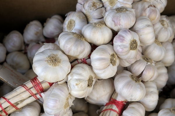 Braided garlic at the Lourmarin street market Digital Download
