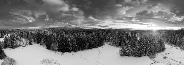 Cowichan Winter - Black & White Digital Download