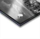 Cowichan Winter - Black & White Acrylic print