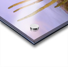 Organ Pipe Cactus Acrylic print