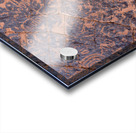 Petroglyphs - Valley of Fire State Park Acrylic print