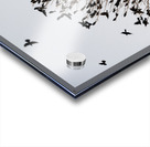 Birds in Flight Acrylic print