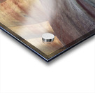 John Day Fossil Beds Acrylic print