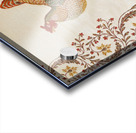 Roosters - Aix-en-Provence Acrylic print