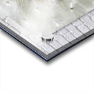 Dandelion Cowichan Valley Vancouver Island British Columbia Canada Acrylic print