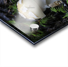 Mushroom Acrylic print