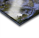 Big Leaf Maple Flower Cowichan Valley Vancouver Island British Columbia Canada Acrylic print