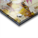 KO A04679 1 Acrylic print