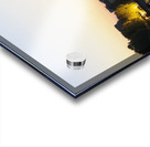 Notre Dame Cathedral Paris France Acrylic print