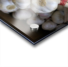 Braided garlic at the Lourmarin street market Acrylic print