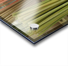 Colorful incense for sale at the Lourmarin Friday market Acrylic print