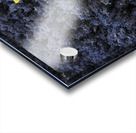 Dried sunflower in a bed of lavender flowers at Lourmarins street market Acrylic print