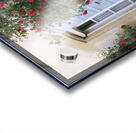 Roses climbing a wall Lourmarin Acrylic print