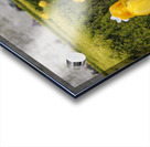 Tulips Jardins des Tuileries - Paris Acrylic print