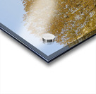 Enjoying a warm spring day on the banks of the Seine River - Paris Acrylic print