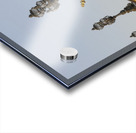 Nymphs of the Seine on Pont Alexandre III - Paris Acrylic print