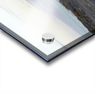 Lava Cactus Brachycereus nesioticus Punta Espinosa Fernandina Island Galapagos Islands Ecuador Acrylic print