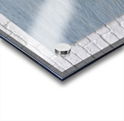 Galapagos sea lion Zalophus wollebaeki stretching Punta Espinosa Fernandina Island Galapagos Islands Ecuador Acrylic print