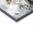 Sally Lightfoot crab Grapsus grapsus Urbina Bay Isabela Island Galapagos Islands Ecuador Acrylic print