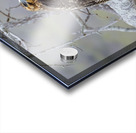 Galapagos Hawk Buteo galapagoensis Santiago Island Galapagos Islands Ecuador
 Acrylic print