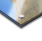 Mary Anne Punta Vicente Roca Isabela Island Galapagos Islands Ecuador Acrylic print