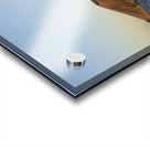 Punta Vicente Roca Isabela Island Galapagos Islands Ecuador
 Acrylic print