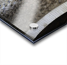 Sala de Embajadores. Hall of the Ambassadors The Throne Room The Alhambra Granada Andalusia Spain Acrylic print