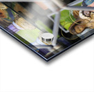 Granada Andalusia Spain  Acrylic print