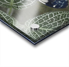 Hamadryas amphinome butterfly at the La Selva Jungle Lodge  Amazon Ecuador Acrylic print