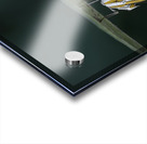 Butterfly at the La Selva Jungle Lodge butterfly farm Amazon Ecuador Acrylic print