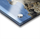 Blue footed Booby Sula nebouxii Punta Moreno Isabela Island Galapagos Islands Ecuador Acrylic print