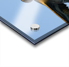 Brown Pelican Pelecanus occidentalis Elizabeth Bay Isabela Island Galapagos Islands Ecuador Acrylic print