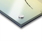 Brown Pelican Pelecanus occidentalis Elizabeth Bay Isabela Island Galapagos Islands Ecuador Acrylic print