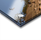 CORMORANTS FLYING ABOVE SCULPTED SANDSTONE CLIFFS Acrylic print