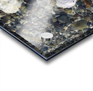 Detail image of rocks and shells on the beach Acrylic print