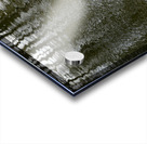 Trees reflected in the ocean Acrylic print