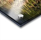 Trees reflected in the ocean Acrylic print