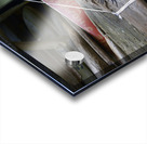 Driftwood sign for Emerald Eyes 2014 Acrylic print