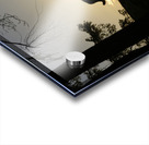 Large dog silhouetted at sunset - Wallace Island Acrylic print