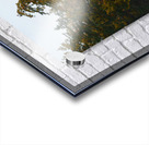 Arbutus and fir trees on the point at Conover Cove Acrylic print