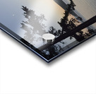 James Island - San Juan Islands Acrylic print