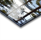 Fir trees on a grassy hillside. James Island Acrylic print